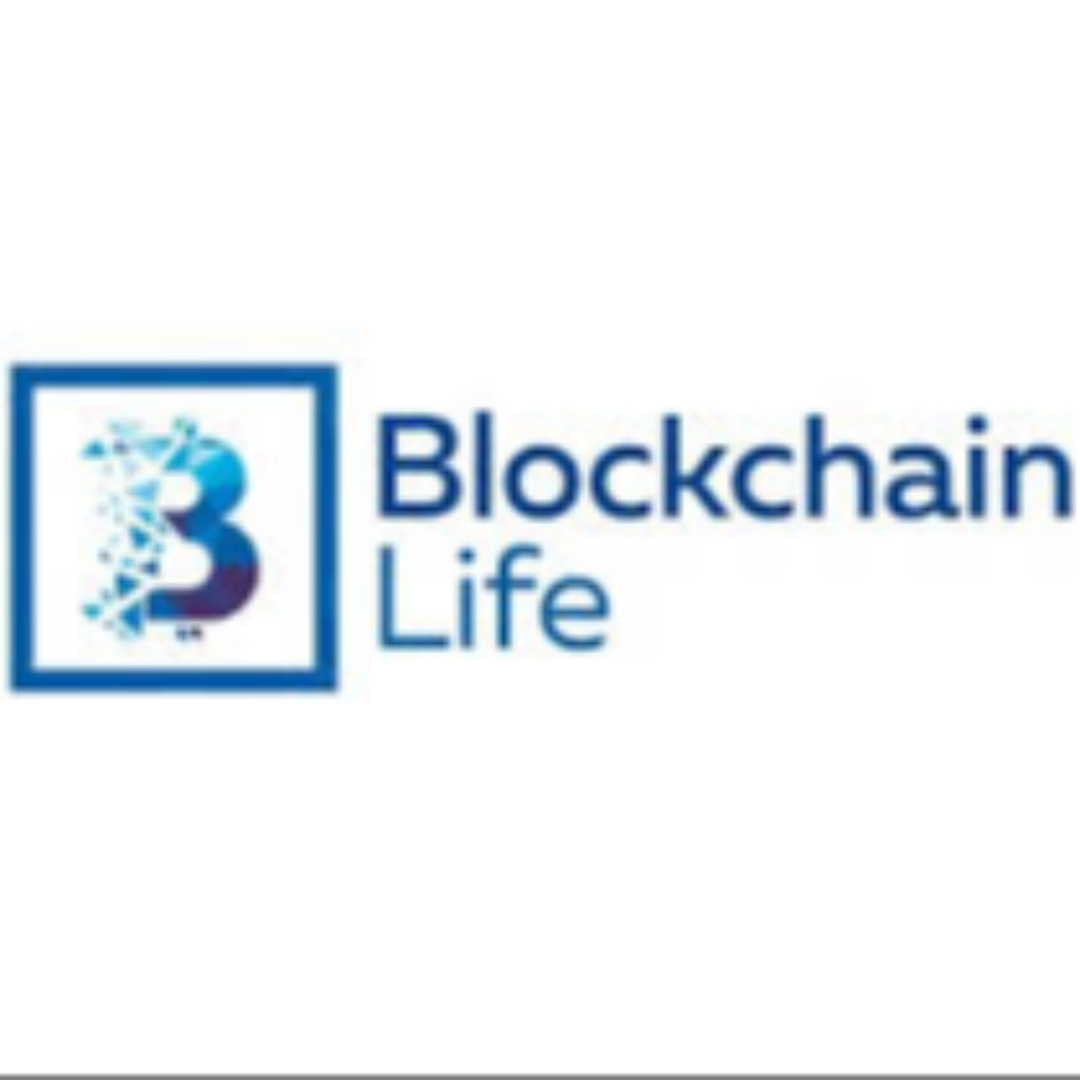 Blockchain Life